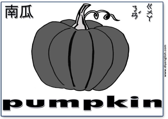 pumpkin – Chinese & English flashcard