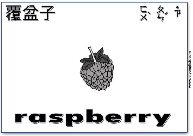 raspberry – Chinese & English flashcard