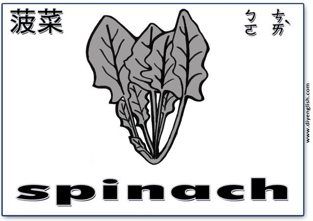 spinach – Chinese & English flashcard