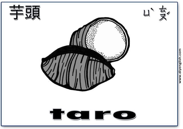 taro – Chinese & English flashcard