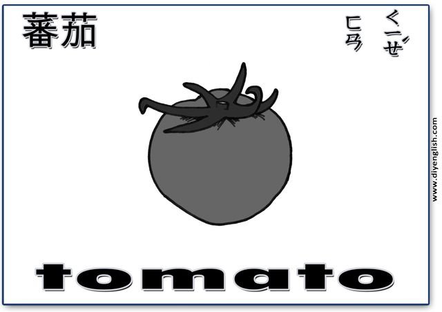 tomato – Chinese & English flashcard