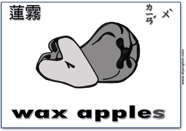 wax apples – Chinese & English flashcard