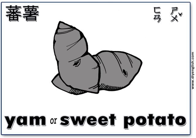 yam / sweet potato – Chinese & English flashcard