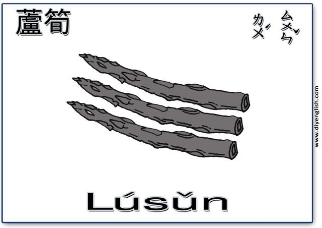 asparagus – Chinese & Pinyin flashcard
