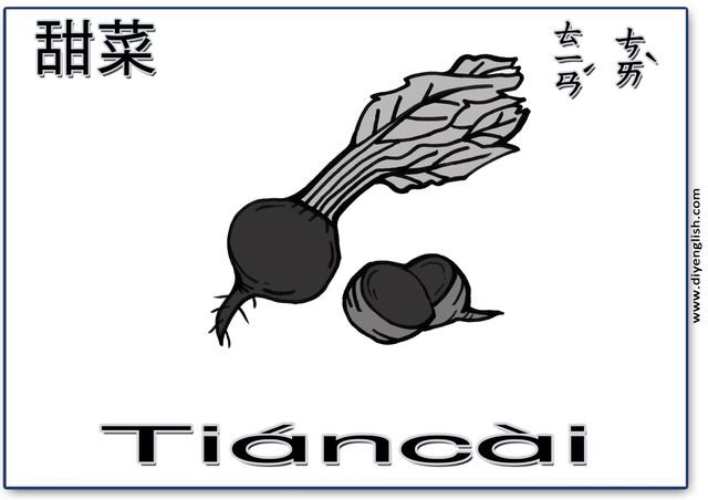 beet – Chinese & Pinyin flashcard