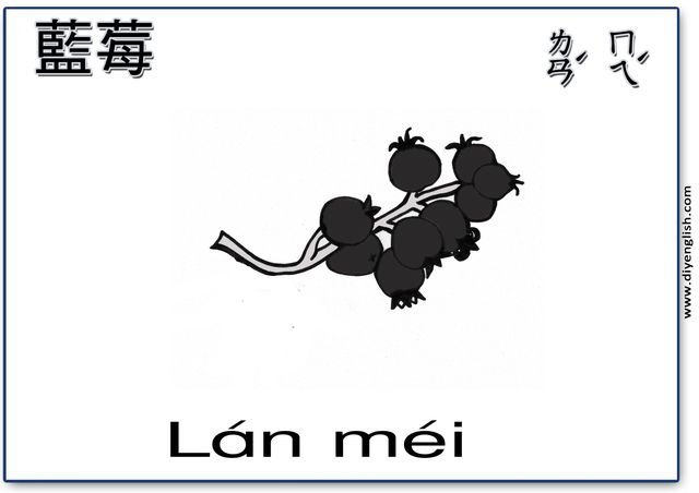 blueberries – Chinese & Pinyin flashcard