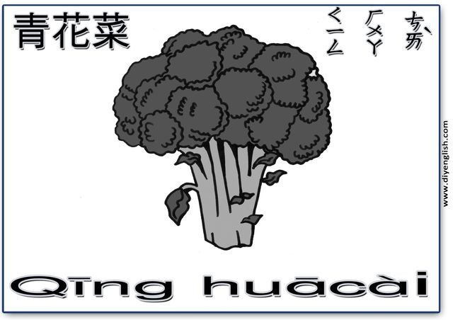 broccoli – Chinese & Pinyin flashcard