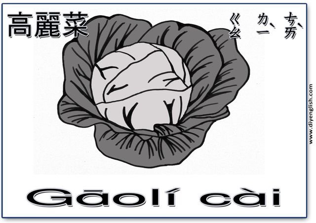 cabbage – Chinese & Pinyin flashcard