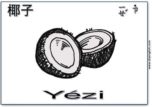 coconut – Chinese & Pinyin flashcard