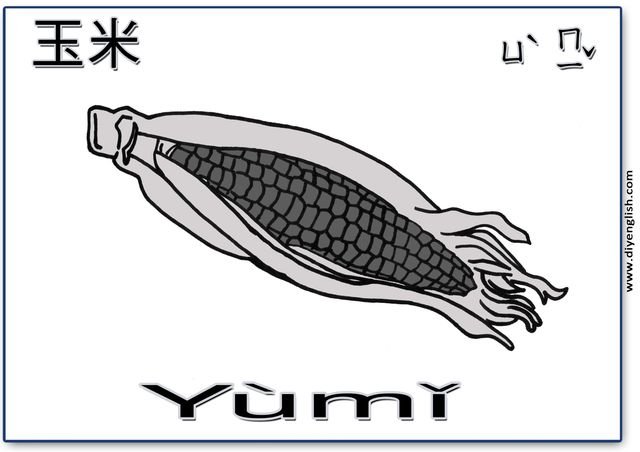 corn – Chinese & Pinyin flashcard