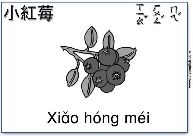 cranberries – Chinese & Pinyin flashcard