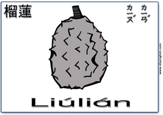 durian – Chinese & Pinyin flashcard