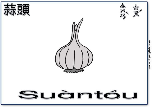 garlic – Chinese & Pinyin flashcard