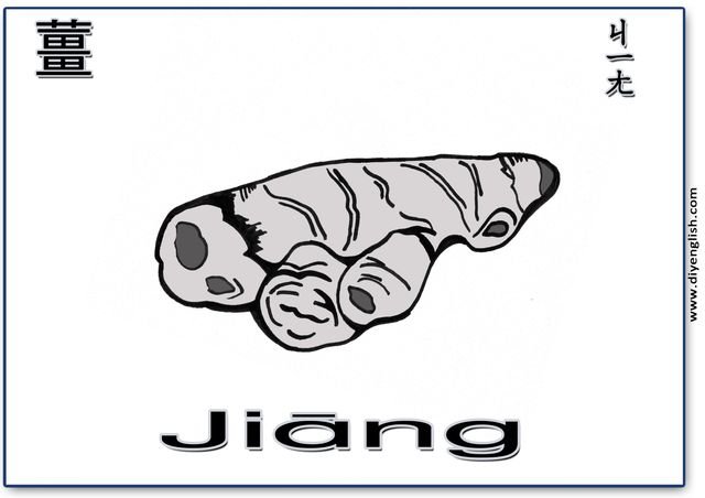 ginger – Chinese & Pinyin flashcard