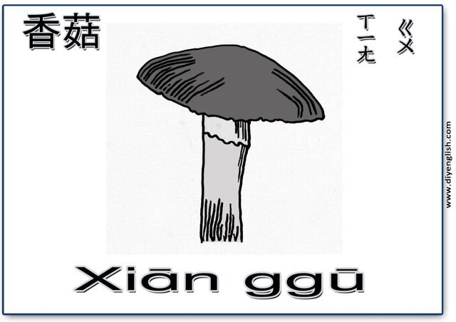 mushroom – Chinese & Pinyin flashcard