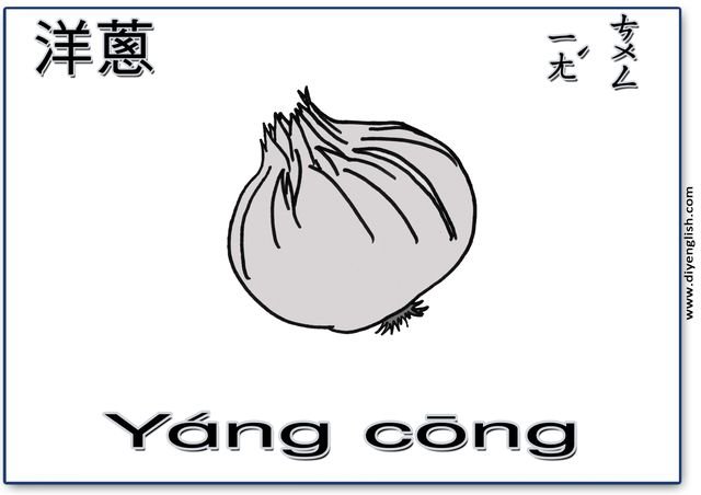 onion – Chinese & Pinyin flashcard