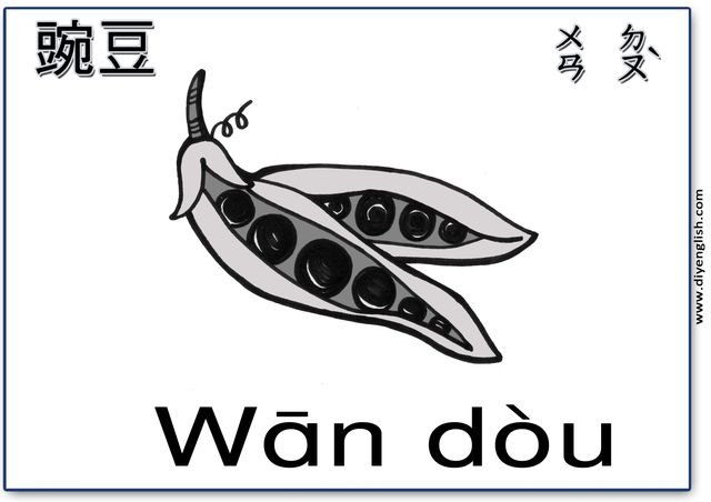 peas – Chinese & Pinyin flashcard