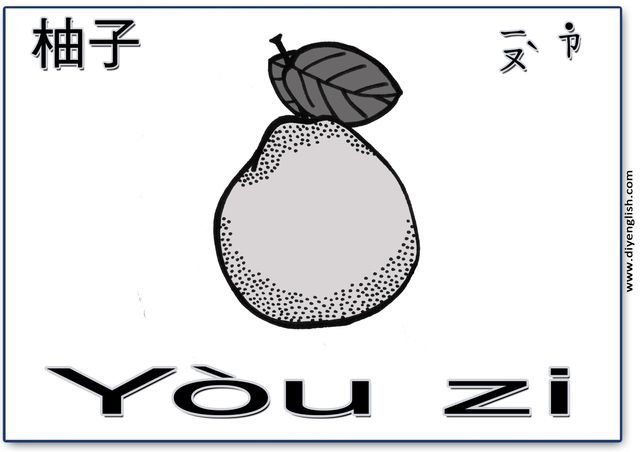 pomelo – Chinese & Pinyin flashcard