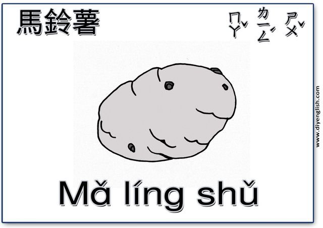 potato – Chinese & Pinyin flashcard