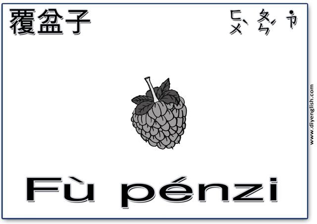 raspberry – Chinese & Pinyin flashcard