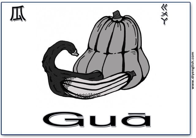 squash – Chinese & Pinyin flashcard