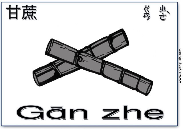 sugarcane – Chinese & Pinyin flashcard