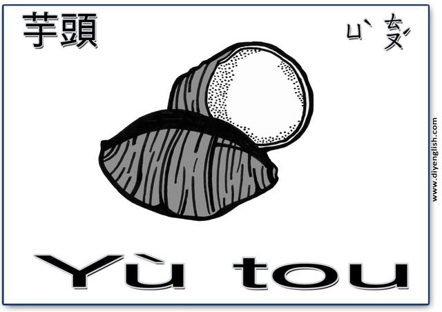 taro – Chinese & Pinyin flashcard
