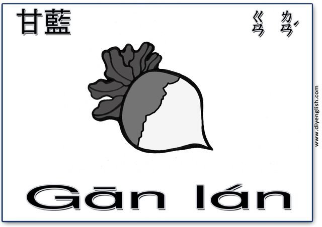 turnip – Chinese & Pinyin flashcard