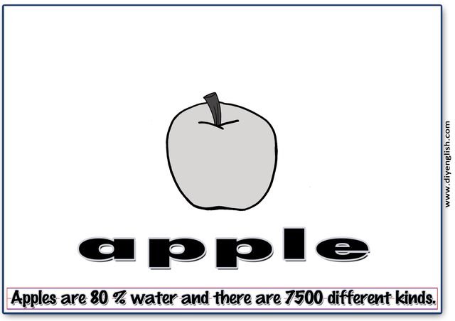 apple – Word & fun-fact sentence flashcard