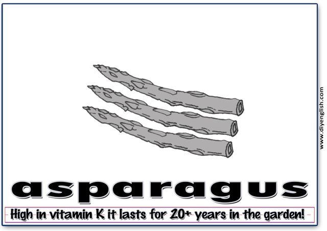 asparagus – Word & fun-fact sentence flashcard