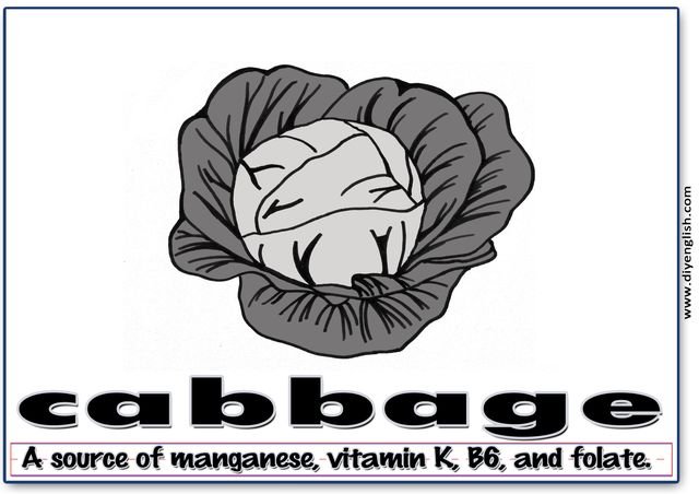 cabbage – Word & fun-fact sentence flashcard