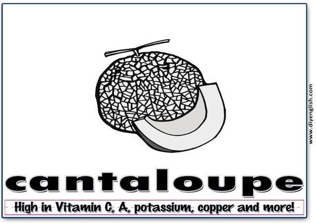 cantaloupe – Word & fun-fact sentence flashcard