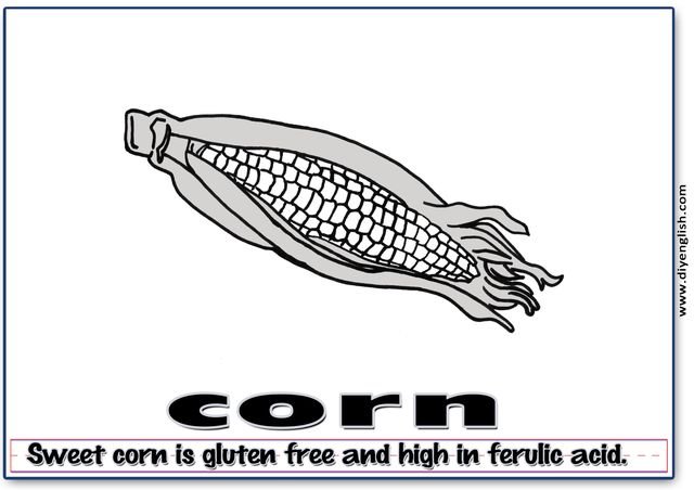 corn – Word & fun-fact sentence flashcard
