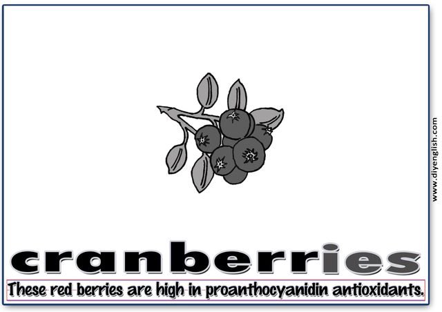 cranberries – Word & fun-fact sentence flashcard