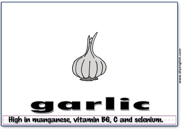 garlic – Word & fun-fact sentence flashcard