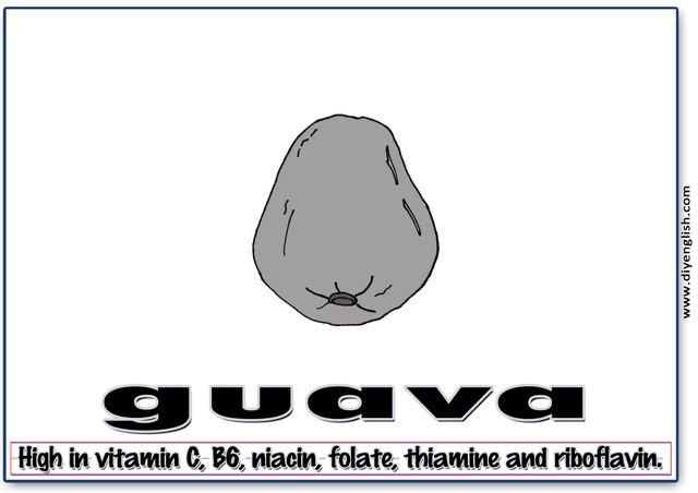 guava – Word & fun-fact sentence flashcard