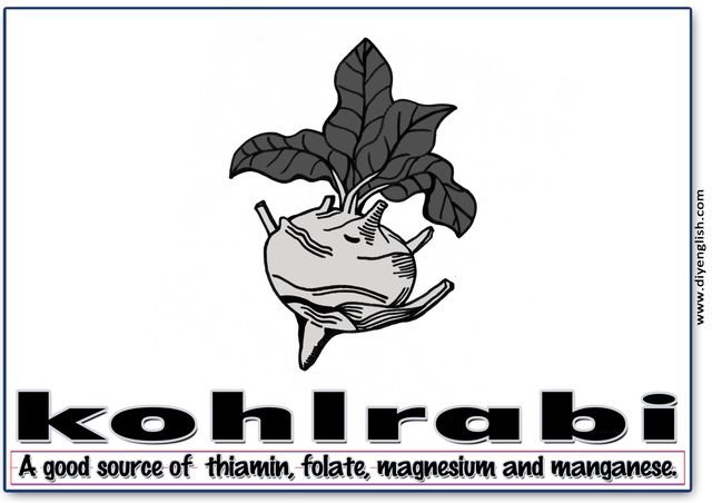 kohlrabi – Word & fun-fact sentence flashcard