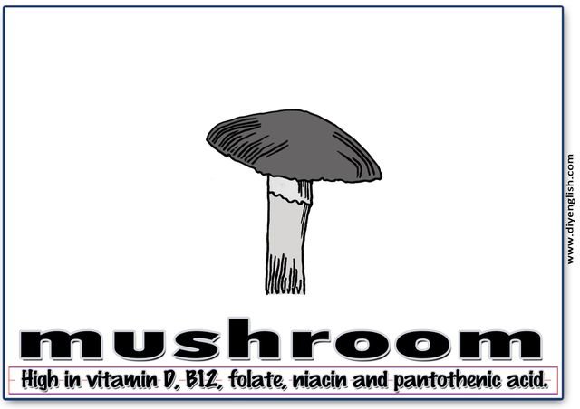 mushroom – Word & fun-fact sentence flashcard