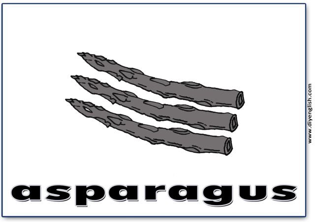 asparagus – English word flashcard
