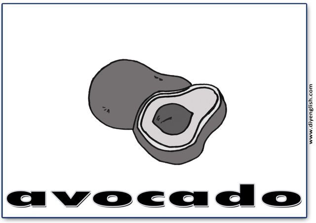 avocado – English word flashcard