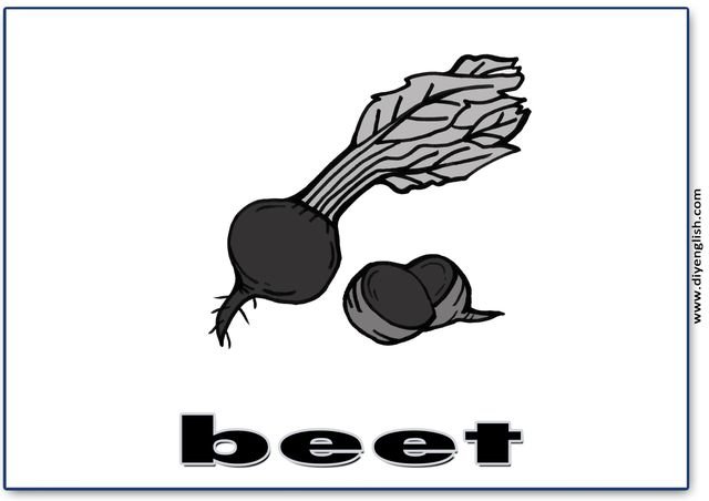 beet – English word flashcard