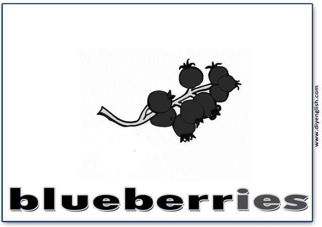 blueberries – English word flashcard