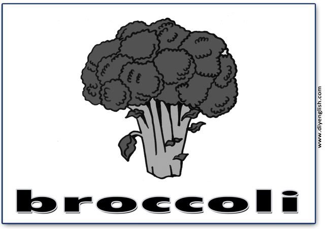 broccoli – English word flashcard