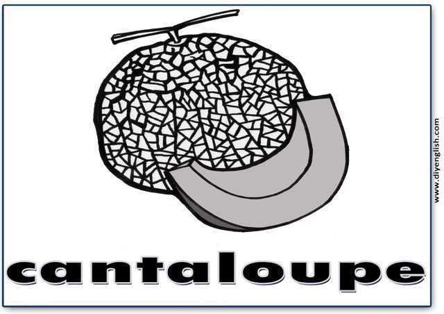 cantaloupe – English word flashcard