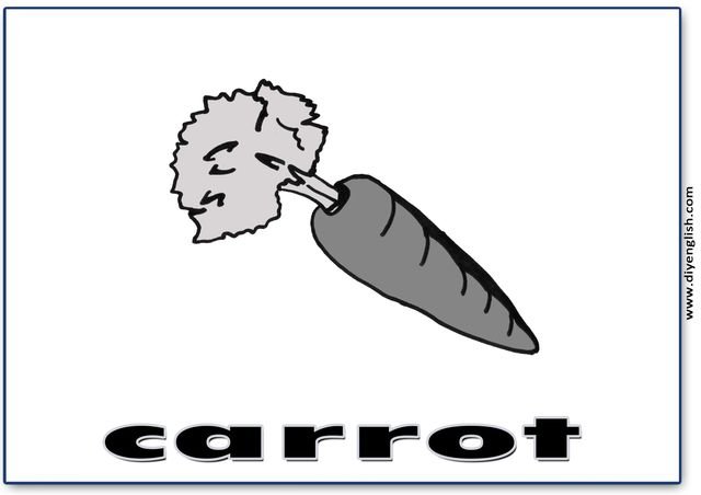 carrot – English word flashcard