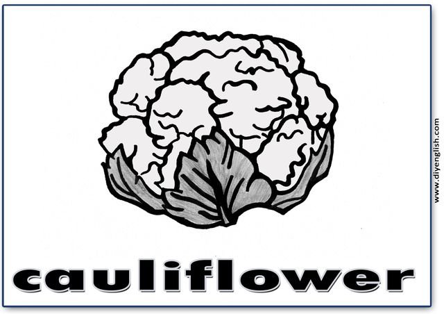 cauliflower – English word flashcard