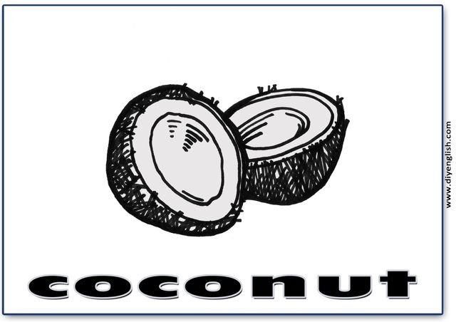 coconut – English word flashcard