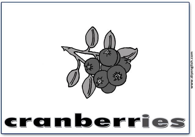 cranberries – English word flashcard