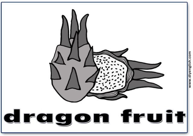 dragon fruit – English word flashcard