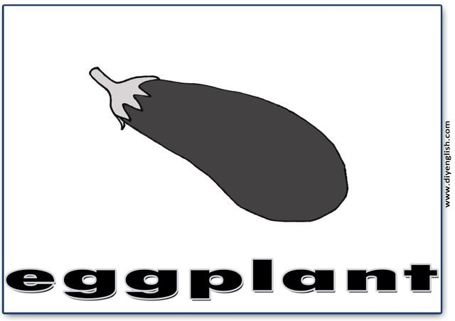 eggplant – English word flashcard